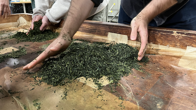 Practicing hand rolling summer harvest tea 