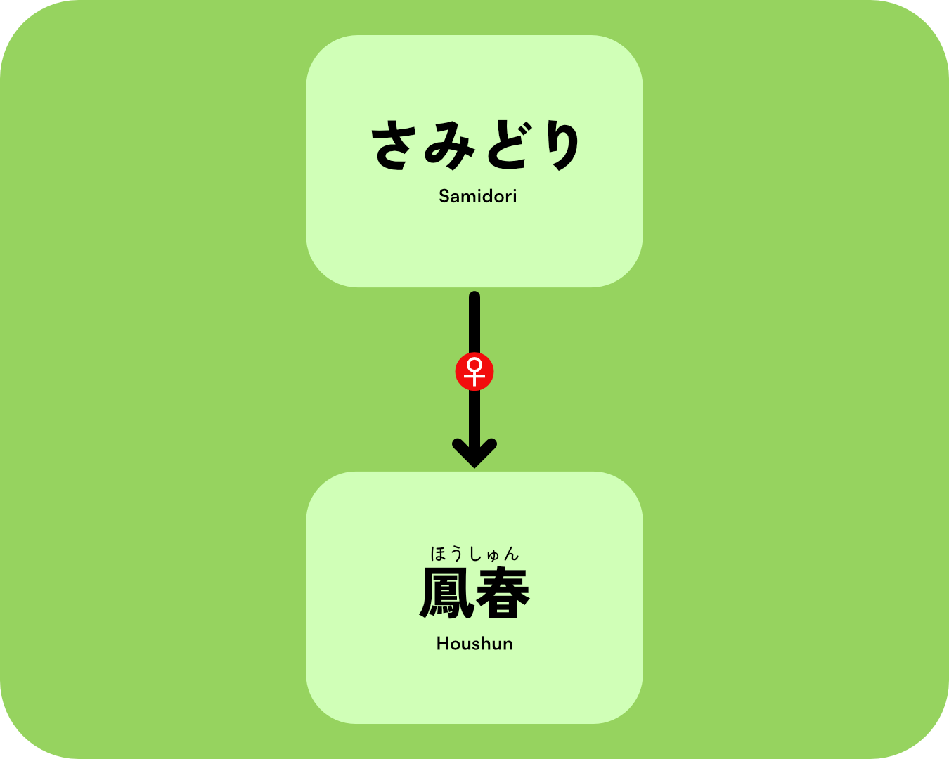 Genealogy tree of the Houshun cultivar