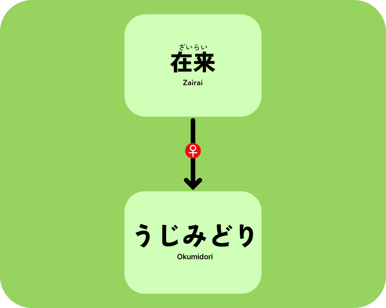 Genealogy tree of the Ujimidori cultivar