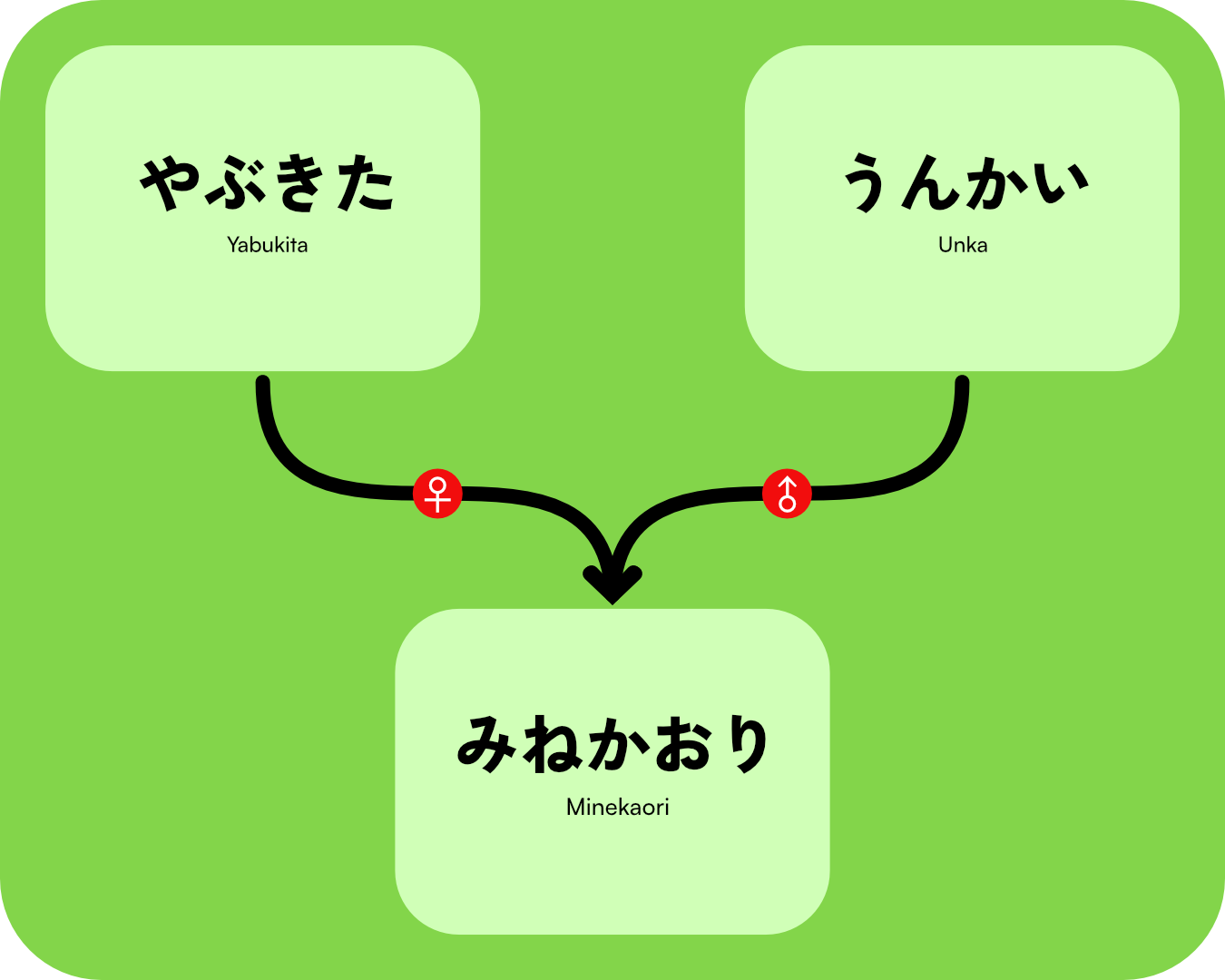 MinekaoriGenTree.png
