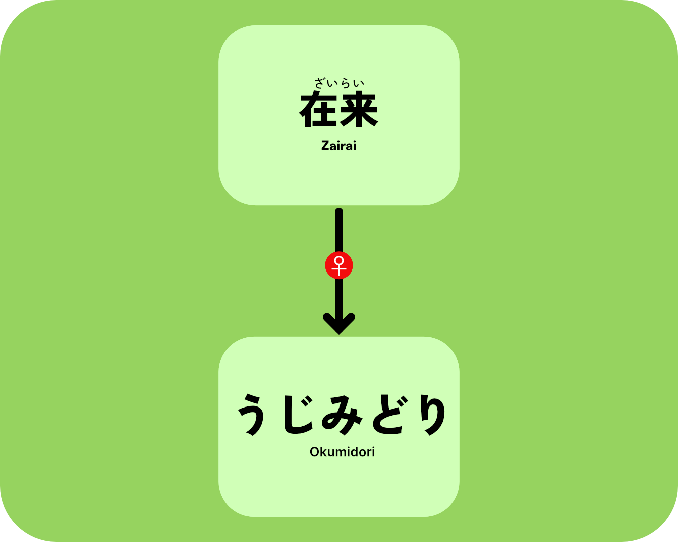 Ujimidori Gen Tree.png