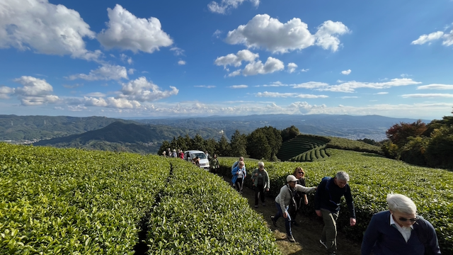 The views from one of the highest fields in Wazuka