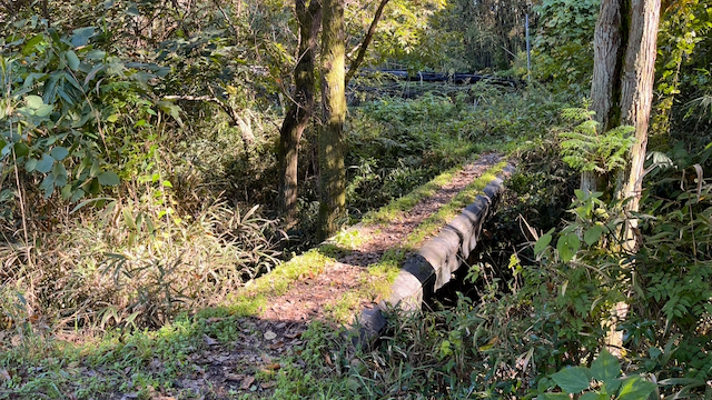 2025 November round up