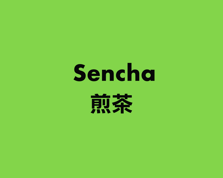 Sencha 煎茶