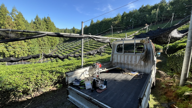 T.N.T 7: Pre-State of the Nursery 2025